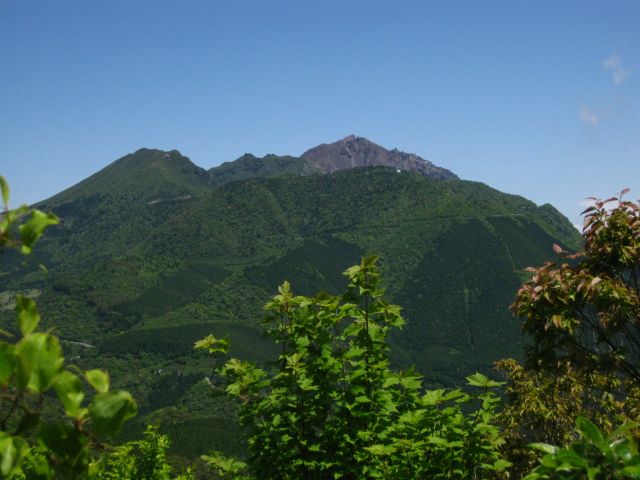 c0042869_7125928.jpg