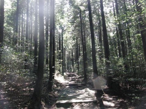 c0042869_73967.jpg