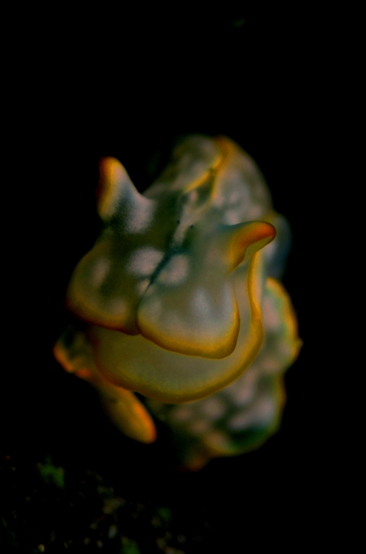 c0181073_10133997.jpg