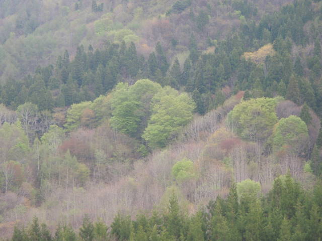 a0113874_6125069.jpg