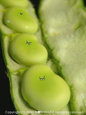 c0139375_1625793.jpg