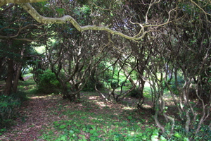 c0151875_0455869.jpg