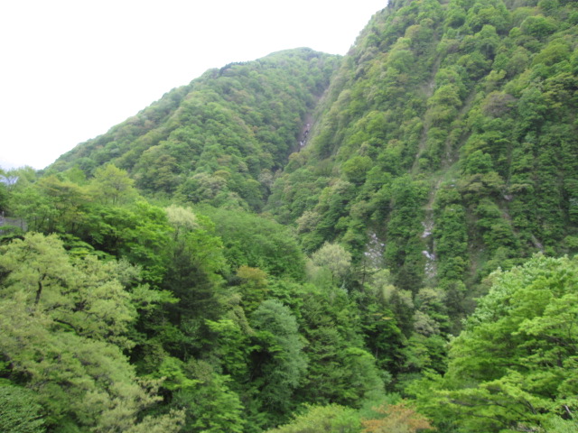 b0032079_6502936.jpg