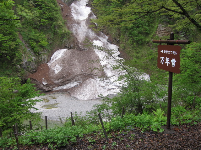 b0032079_653232.jpg