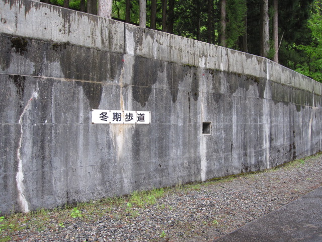 b0032079_6584983.jpg
