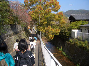 e0008880_2104914.jpg