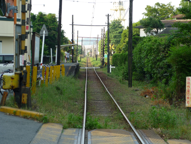 c0125283_8523888.jpg