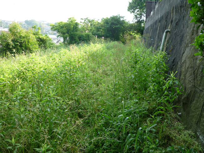 c0125283_8572618.jpg