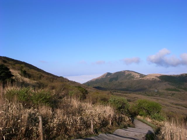 e0129083_19334251.jpg