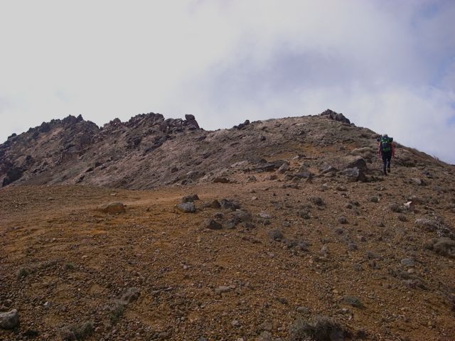 e0129083_20243032.jpg