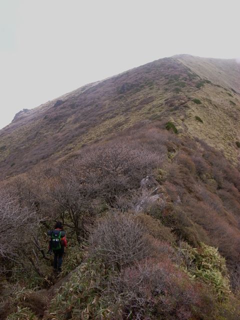 e0129083_2065492.jpg