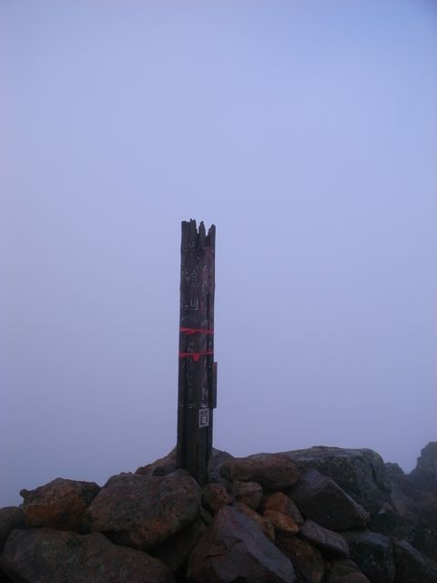 e0129083_226022.jpg