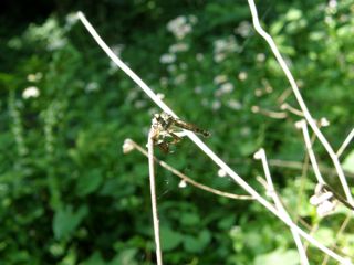 e0077084_19535537.jpg
