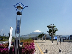 c0160488_1741584.jpg