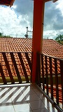 a0003089_154174.jpg