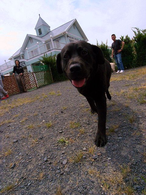 a0093592_043827.jpg