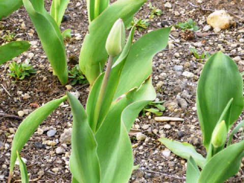 f0029393_541508.jpg
