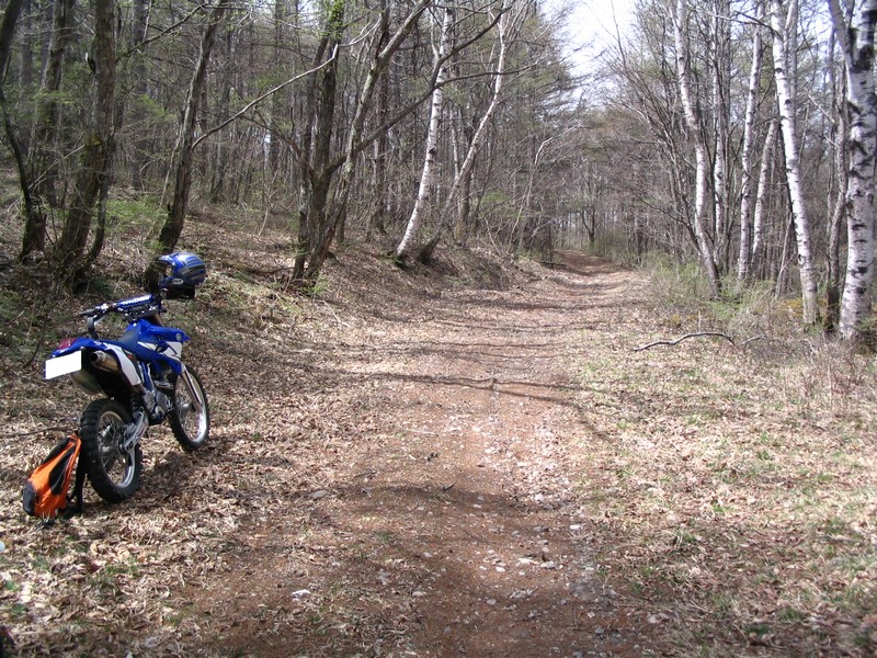 d0049594_2064560.jpg