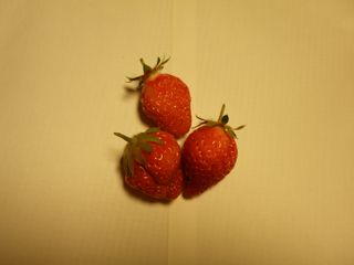 f0130894_20514375.jpg