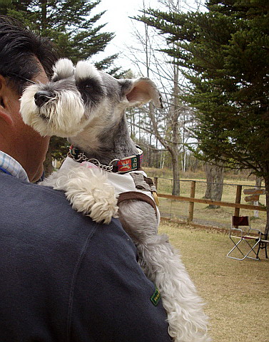 c0138198_2132942.jpg