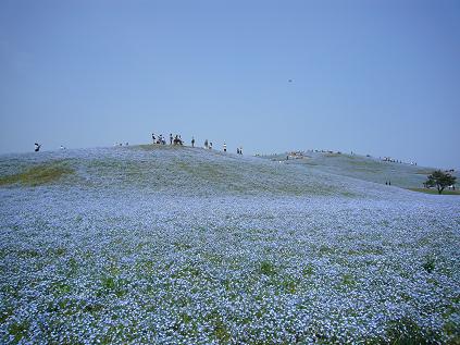 c0199098_22481960.jpg