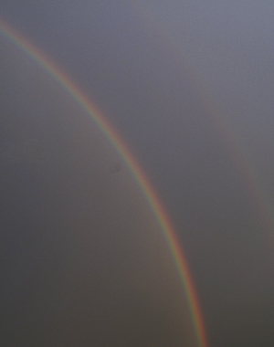 f0119698_393989.jpg