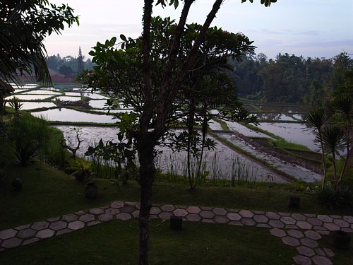 a0036499_13331599.jpg