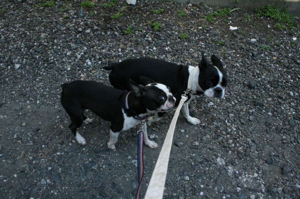 d0070702_1922987.jpg