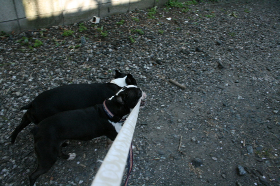 d0070702_193048.jpg