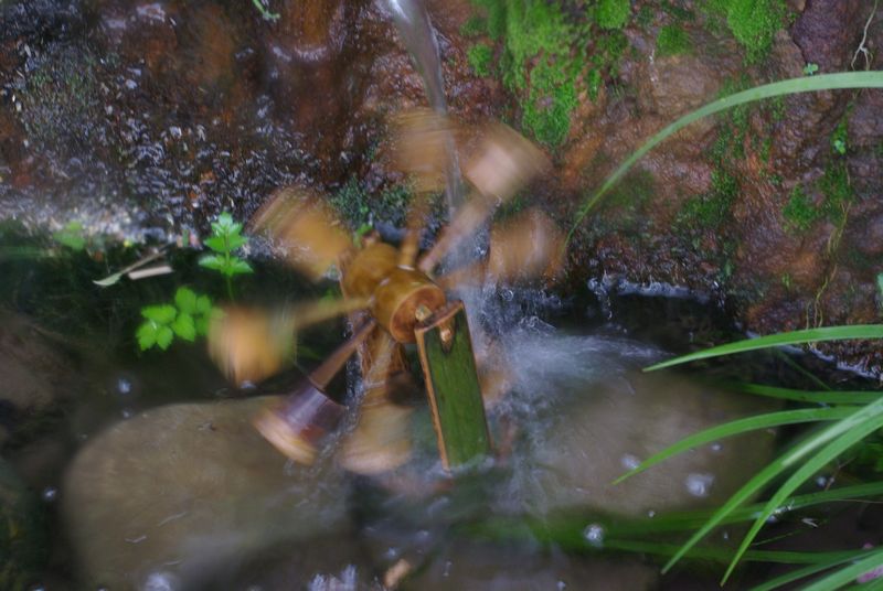 c0187503_18185981.jpg