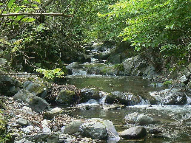 f0164503_122489.jpg