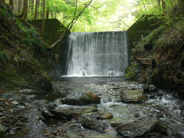 f0164503_1282045.jpg