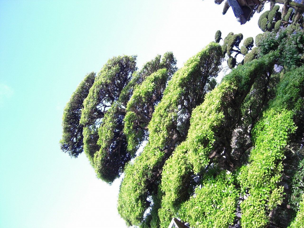 b0046204_9571217.jpg