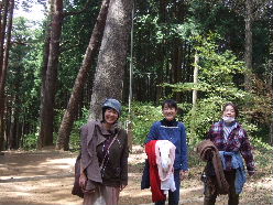 d0024504_1164466.jpg