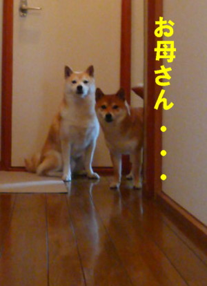 e0131506_21412040.jpg