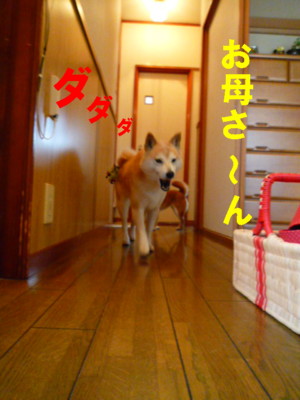 e0131506_21414070.jpg