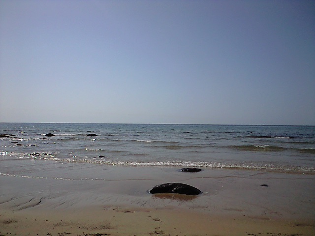 f0092906_22121177.jpg