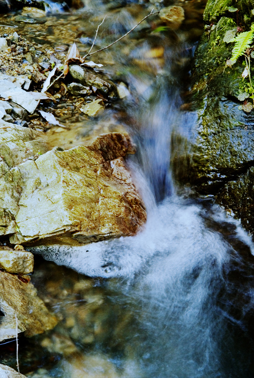 c0191707_1548065.jpg