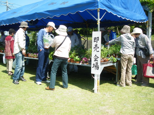 b0052108_21455594.jpg