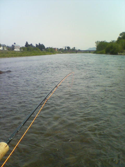 b0172209_910778.jpg