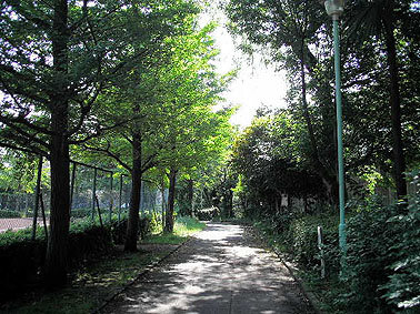 a0022014_12431185.jpg