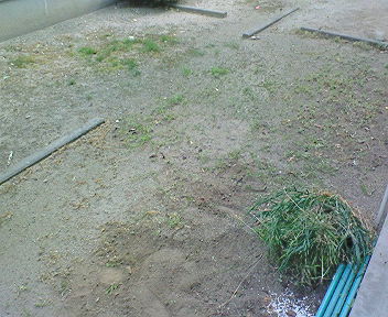 d0013816_15222842.jpg