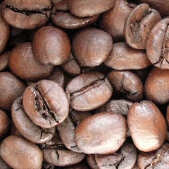c0036617_17475017.jpg