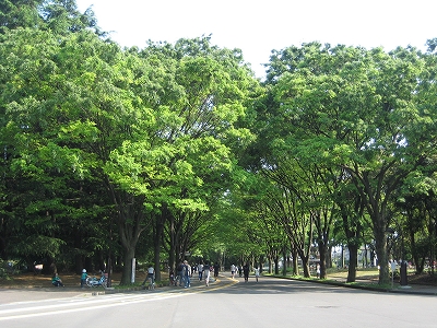 e0170519_2241327.jpg