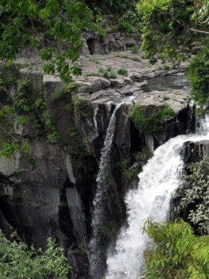 f0185619_2152910.jpg