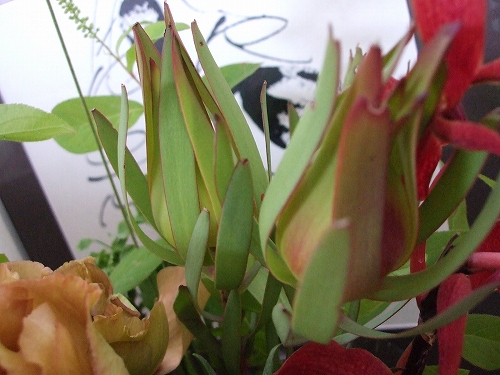 e0006321_23104687.jpg