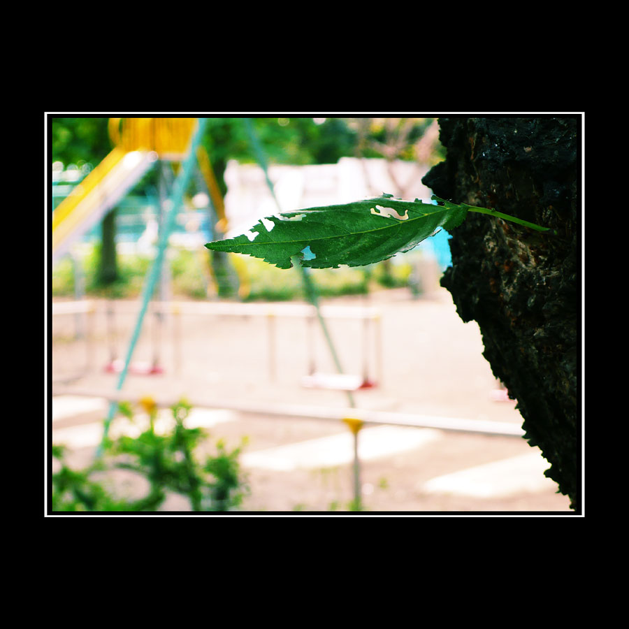 f0086721_1382178.jpg