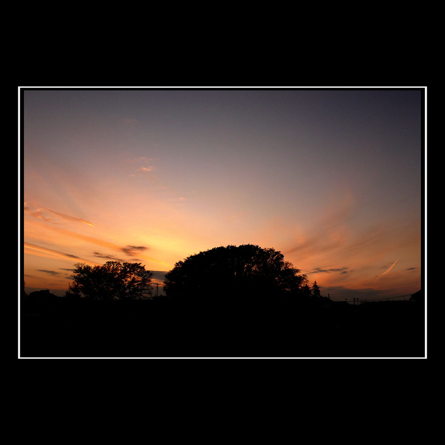 f0086721_1392339.jpg