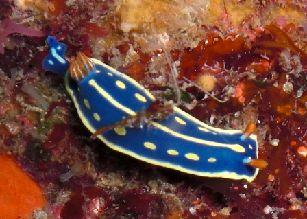 a0004326_0374810.jpg