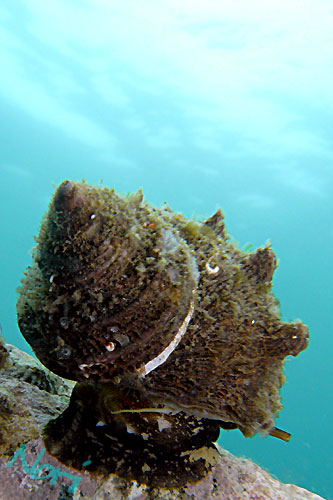 b0044726_10301130.jpg